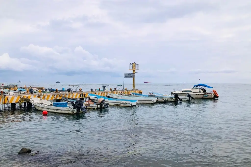 Imagen Mala temporada: pescadores de Veracruz llevan más de 10 días sin capturas