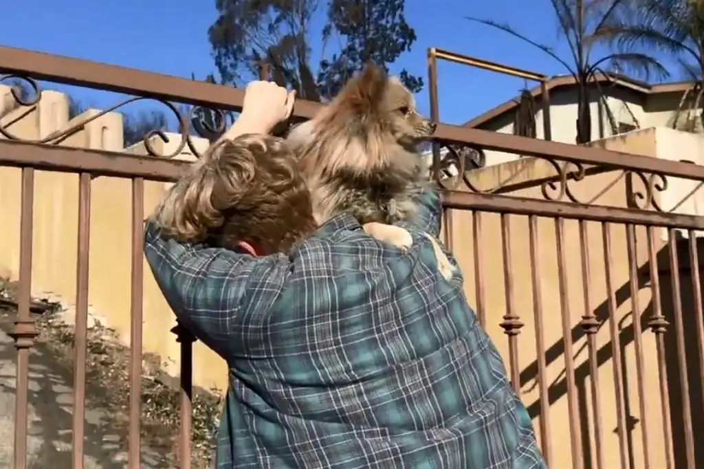 Imagen Hombre se reecuentra con su perro que sobrevivió a incendios en California (+Video)