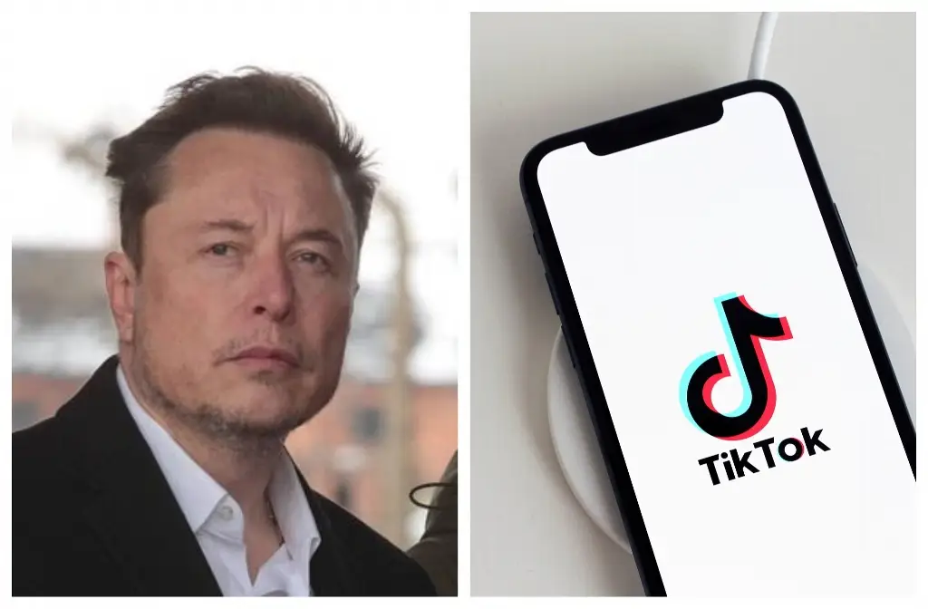 Imagen China piensa en Musk como comprador para la rama de TikTok en EU, según Bloomberg