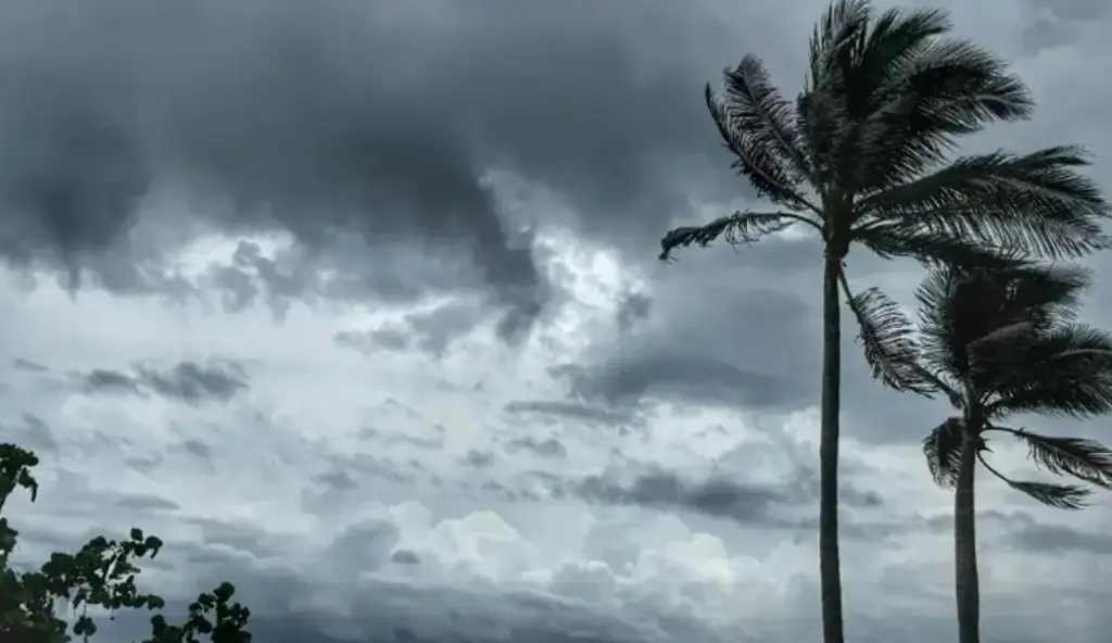 Imagen Prevén temperatura mínima de 17 grados Celsius en Veracruz-Boca del Río