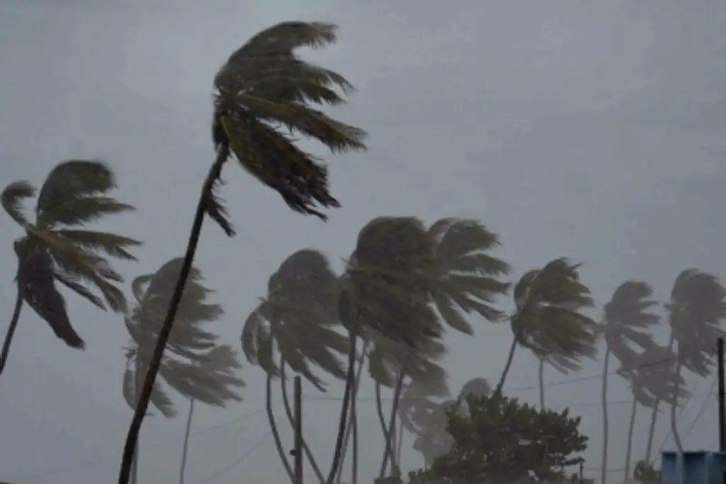 Imagen Podría alcanzar hasta 120 km/h viento del Norte en Veracruz, según Conagua