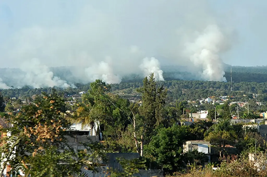 Imagen Elementos naturales dificultan el combate de incendios forestales