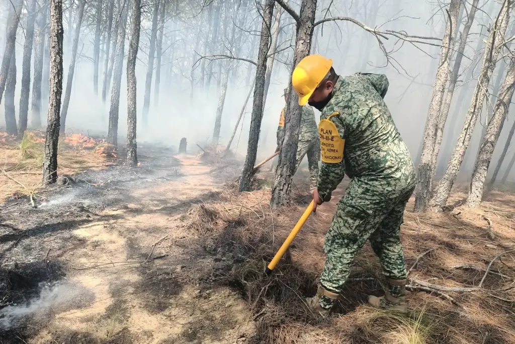 Imagen Ejército aplica Plan DN-III-E por incendio forestal en Perote, Veracruz; 