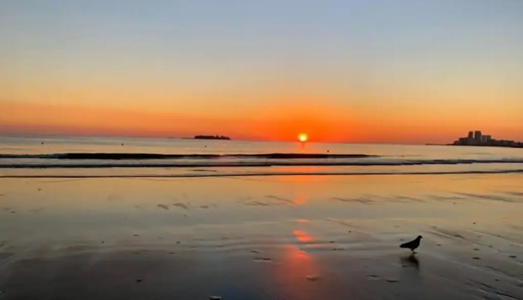 Imagen Esta sería la temperatura mínima para Veracruz-Boca del Río este lunes 