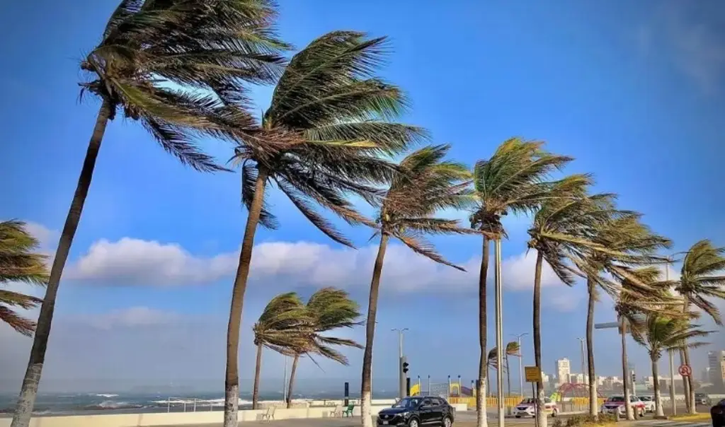 Imagen ¡A sacar el suéter! Prevén temperatura mínima de 15 grados en Veracruz-Boca del Río