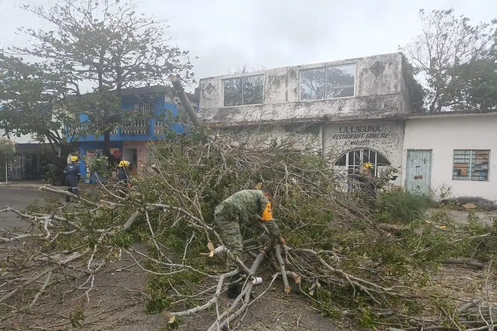 Imagen Aplica Ejército Plan DN-III-E en colonias del puerto de Veracruz