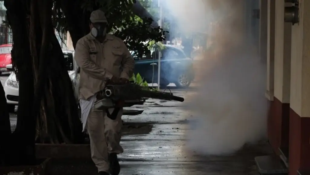 Imagen Ya son 13 casos confirmados de dengue en Veracruz este año; es cuarto lugar nacional