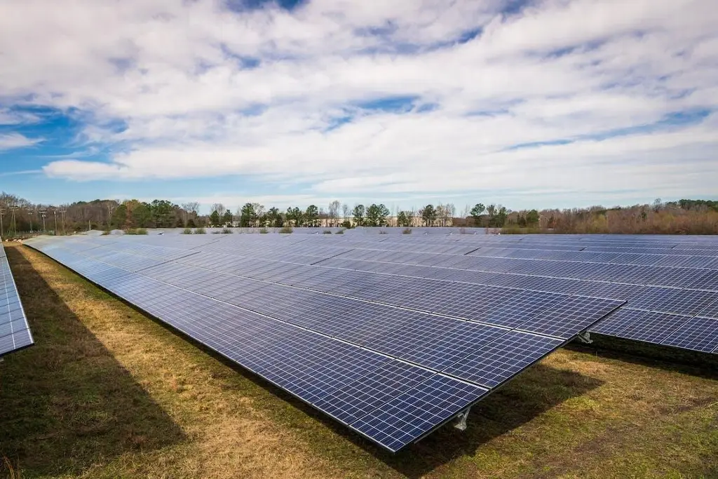 Imagen ¿Qué pasó con las granjas solares que colocarían en Soledad de Doblado? esto dice la alcaldesa