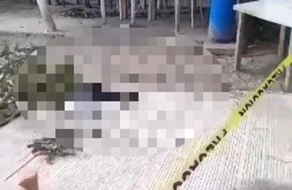 Imagen Perrito muere electrocutado por cables de alta tensión en Medellín de Bravo 