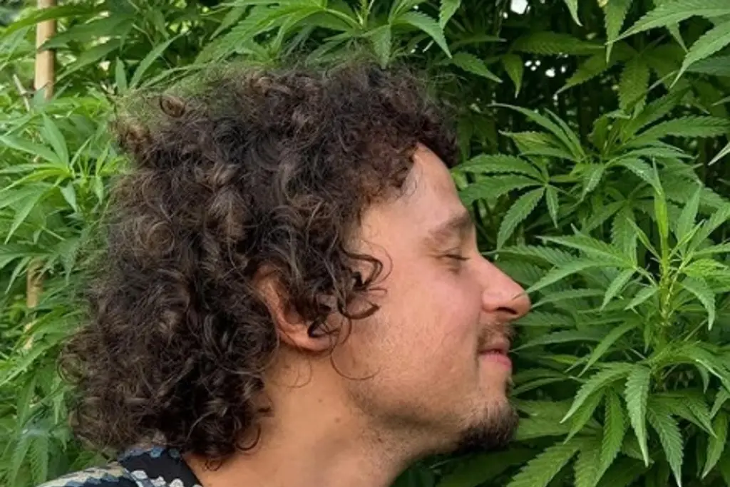 Imagen Polémica por imágenes de Luisito Comunica en plantío de marihuana con 'porro' en mano