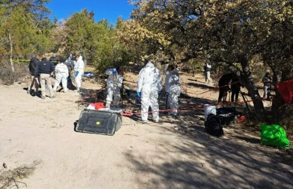 Imagen En los últimos cuatro días, hallan 56 cadáveres en fosas en Chihuahua