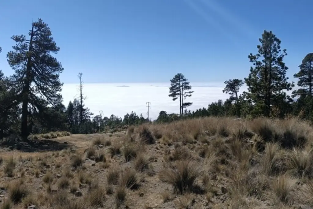 Imagen Ausencia de nevadas en el volcán Pico de Orizaba