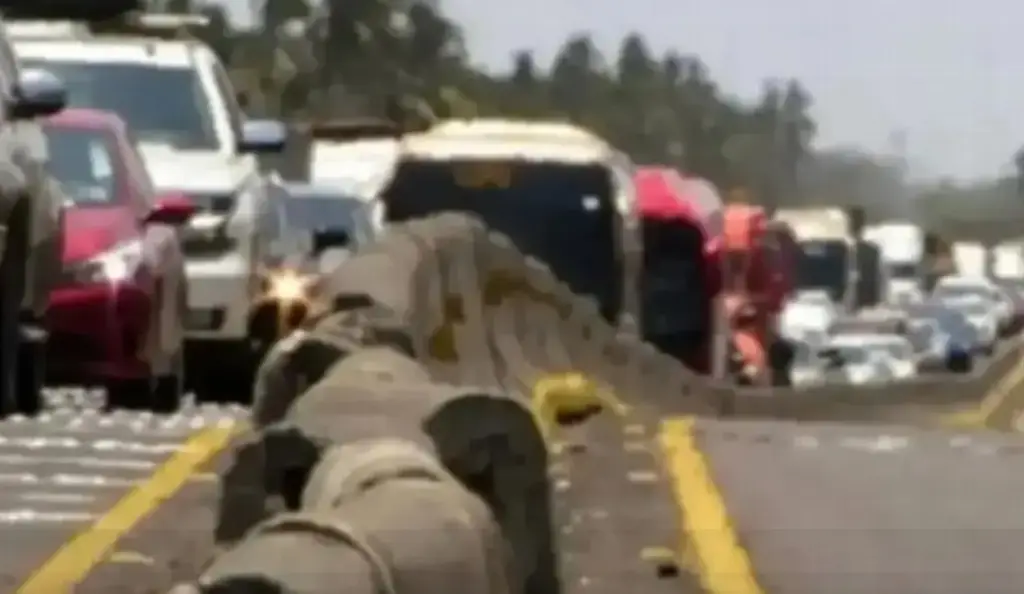 Imagen Se registra cierre parcial de circulación en autopista de Veracruz; es por esta razón 