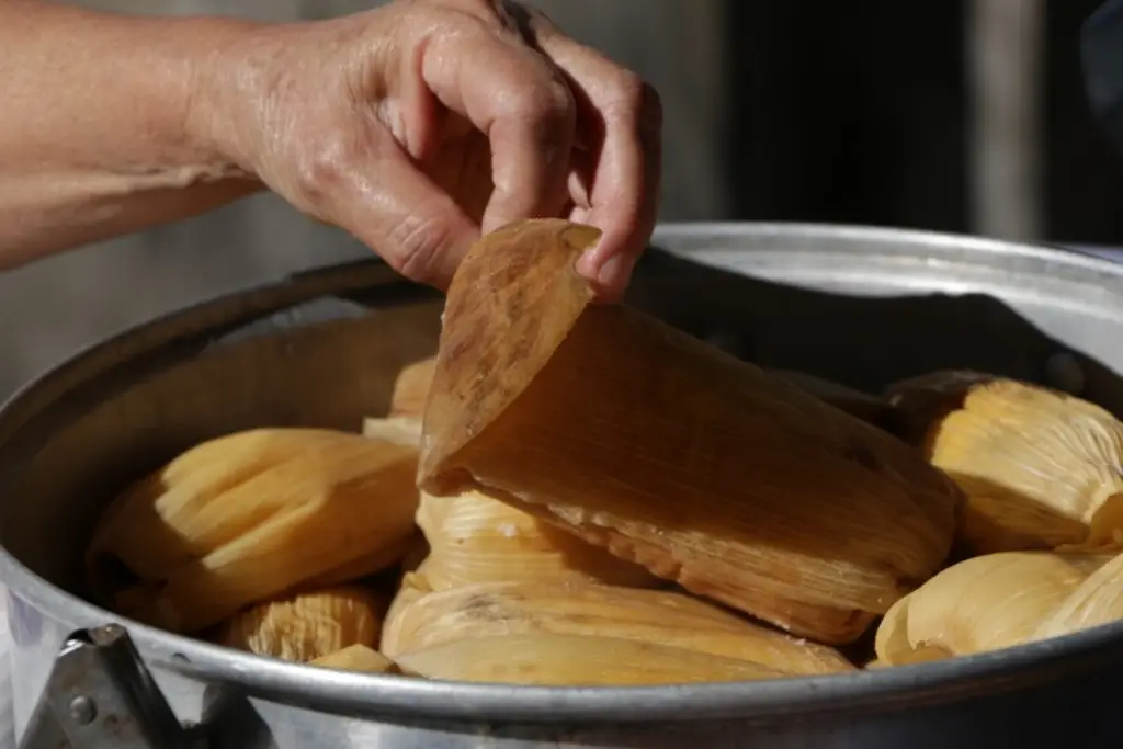 Imagen ¿Tuviste mucho frío? Habrá tamaliza en Veracruz para agarrar calorías 