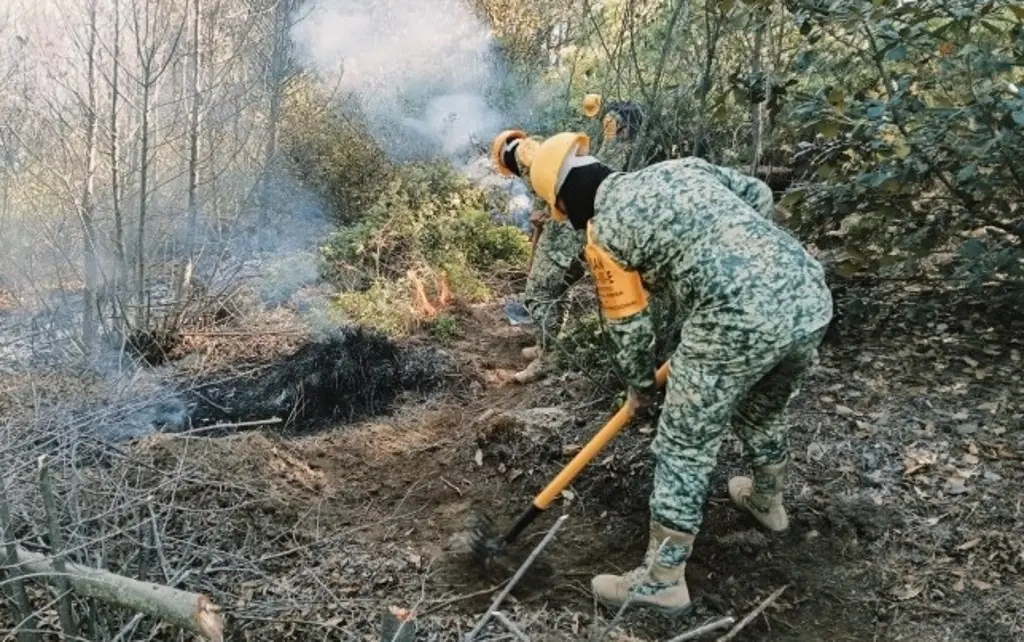 Imagen Sedena aplica Plan DN-III-E en incendio forestal en Perote, Veracruz 