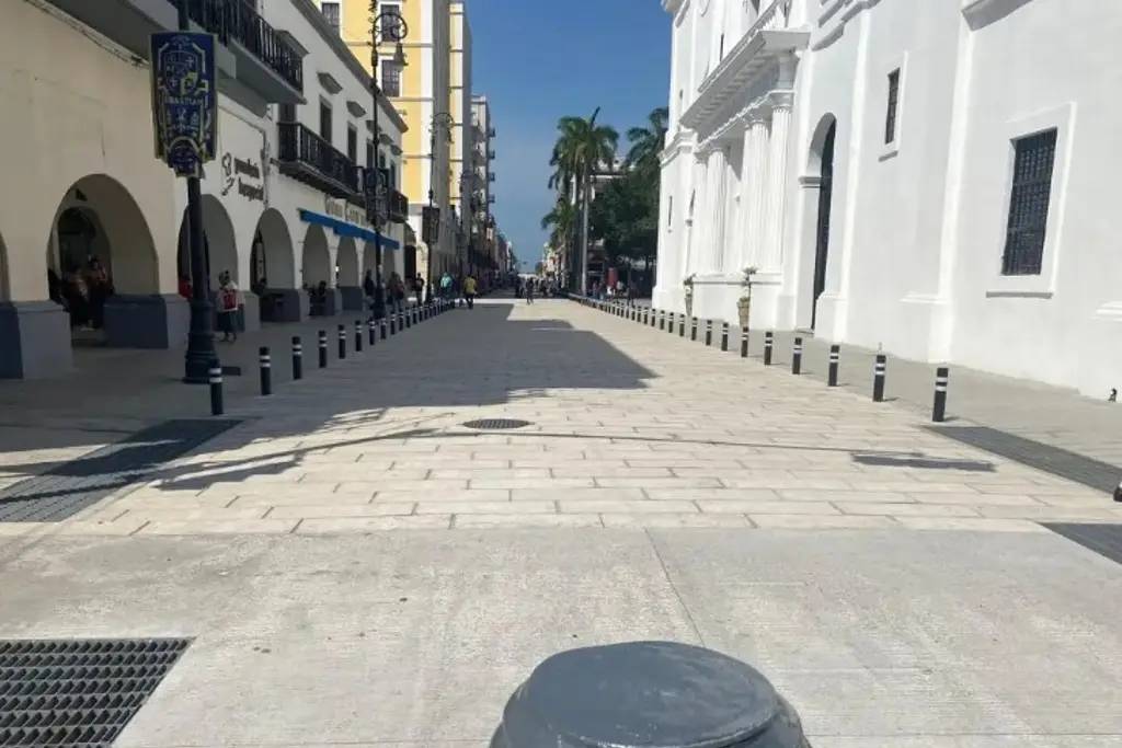 Imagen Hay que analizar si conviene que la avenida Independencia siga peatonal: Canaco Veracruz 