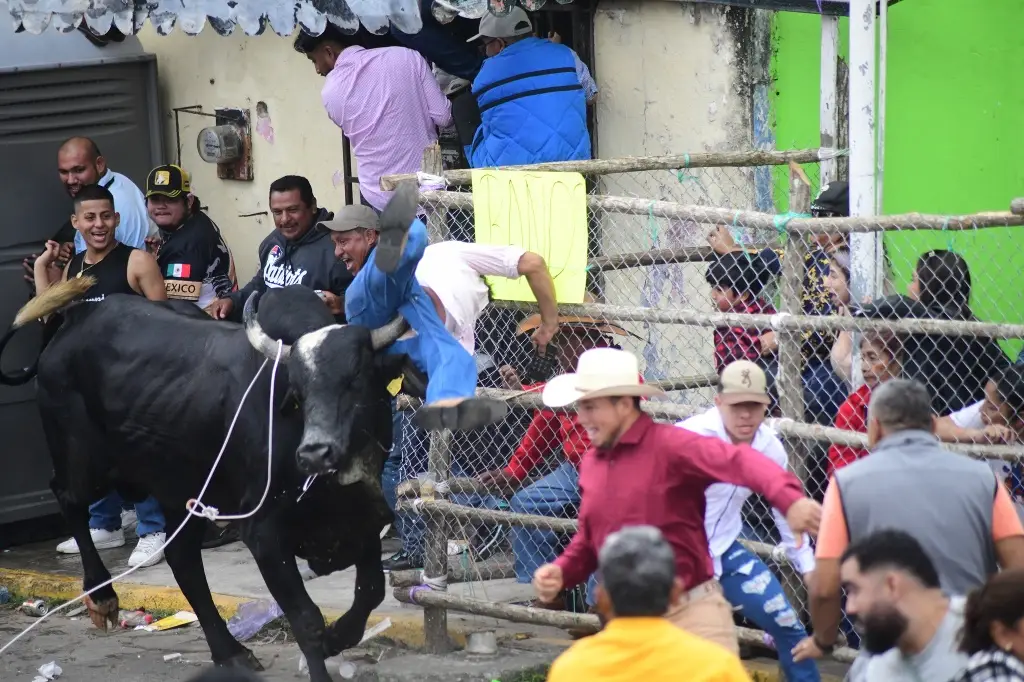 Imagen Suelta de toros en Tlacotalpan, 