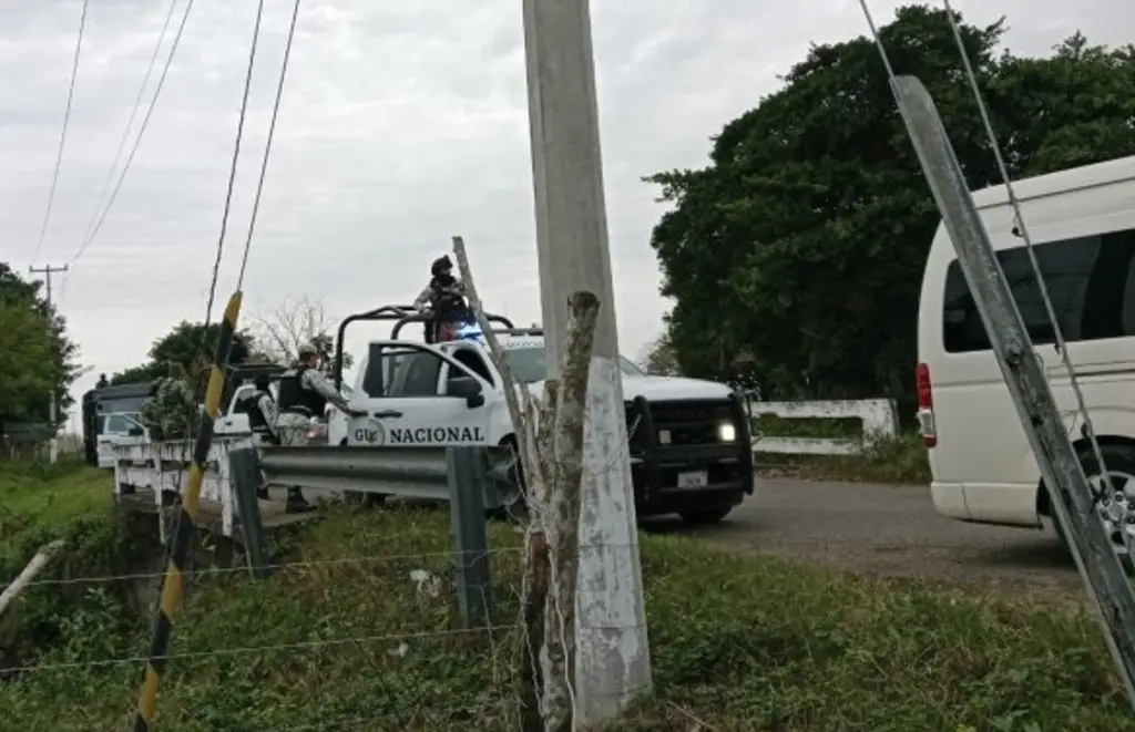 Imagen Catean rancho en búsqueda de restos humanos en la zona norte de Veracruz