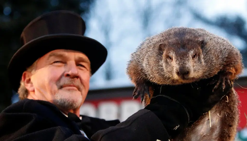 Imagen Marmota Phil predice que el invierno será más largo de lo esperado (+Video)