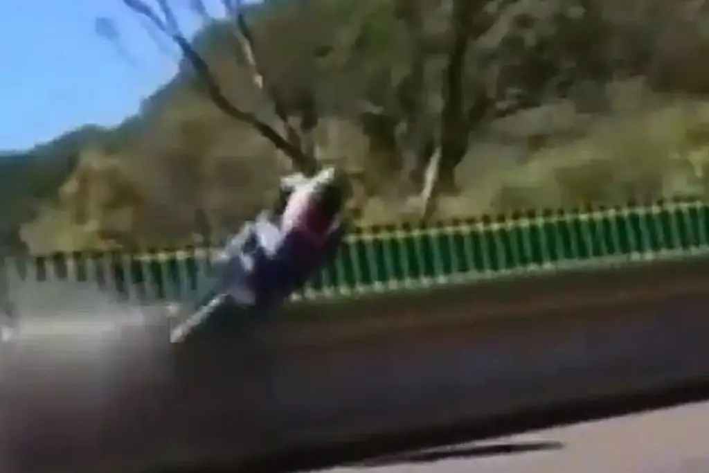 Imagen Biker muere tras subirse a muro divisorio en autopista (+Video)