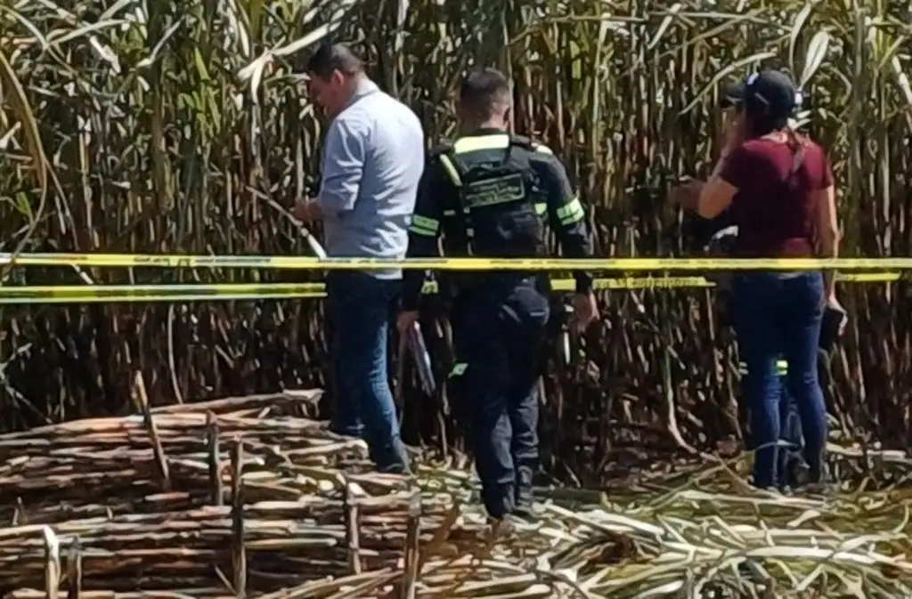 Imagen Reportan hallazgo de cráneo humano en medio de cañales en Córdoba, Veracruz 