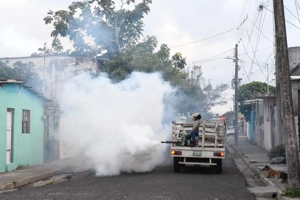 Imagen Veracruz suma 107 casos de dengue en lo que va de 2025 