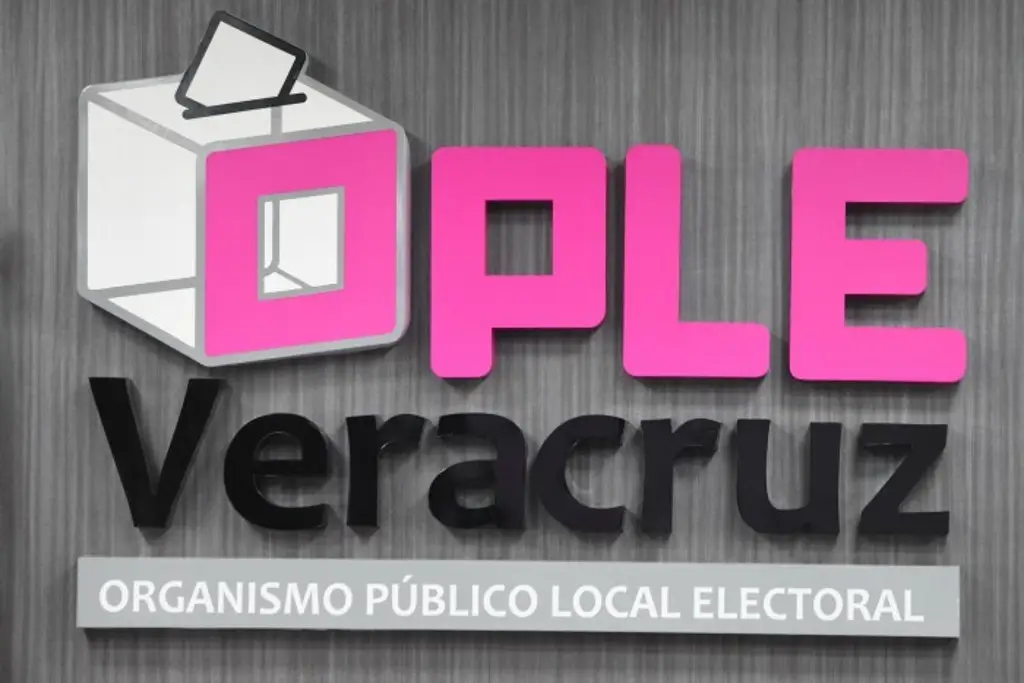 Imagen OPLE revela que 11 asociaciones políticas buscan convertirse en nuevos partidos políticos