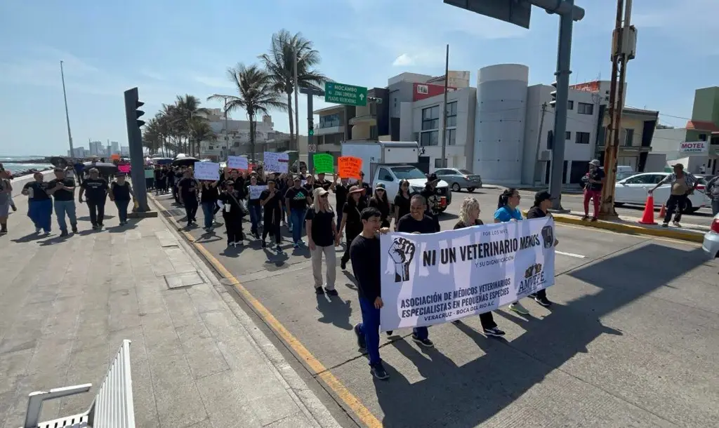 Imagen Marchan veterinarios en Veracruz; exigen justicia por Héctor Hernández, asesinado en Edomex