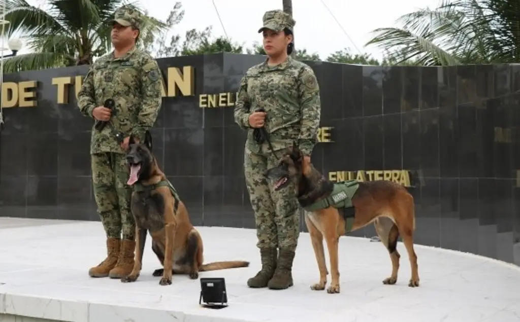 Imagen Marina rinde homenaje a los caninos 'Eilyn' y 'Foster' tras su retiro del servicio activo