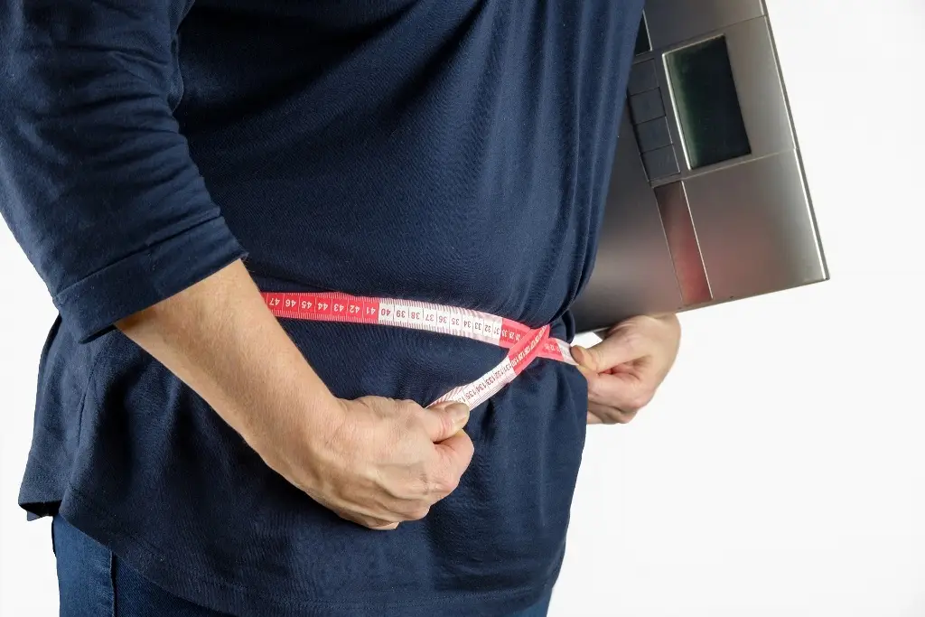 Imagen Demuestran que la melatonina restablece las fibras alteradas por la obesidad y la diabetes