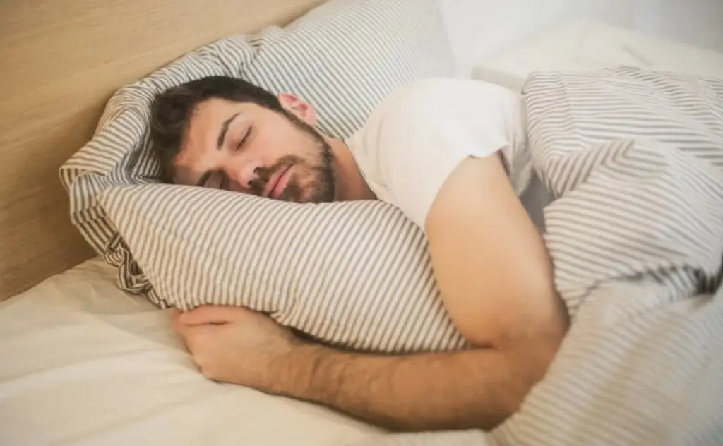 Imagen ¿Después de cenar, cuánto tiempo esperar para ir a dormir?