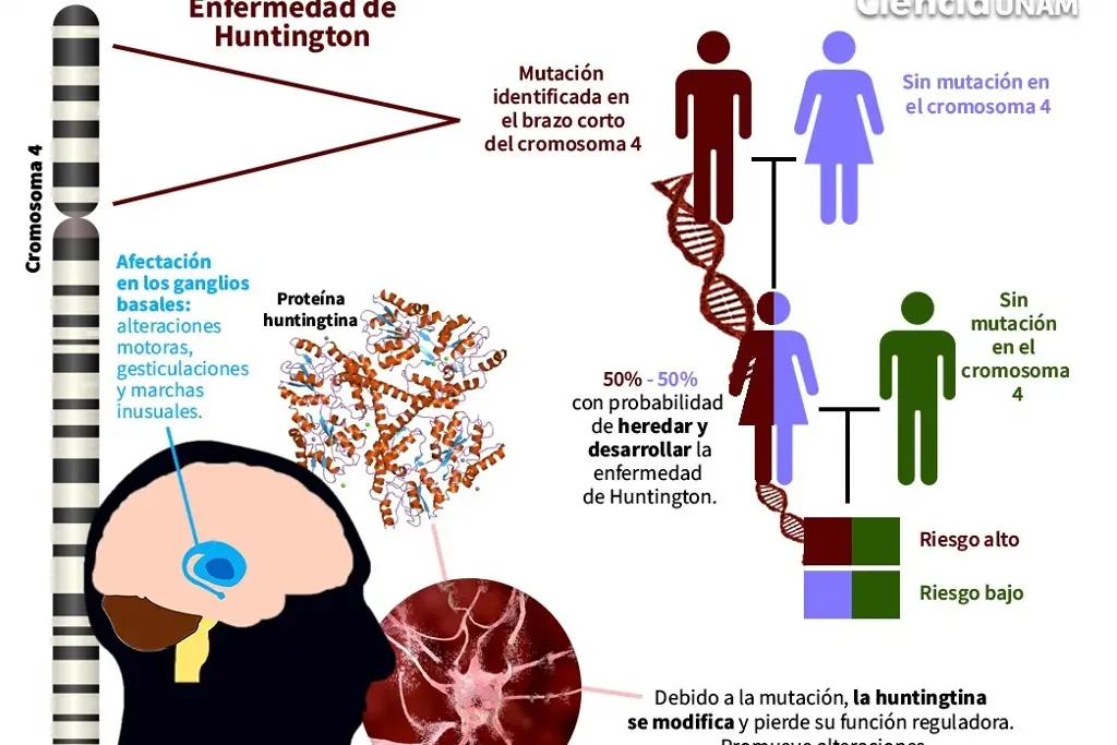 Imagen Enfermedad de Huntington: Vivir con fecha de caducidad y combatir el estigma