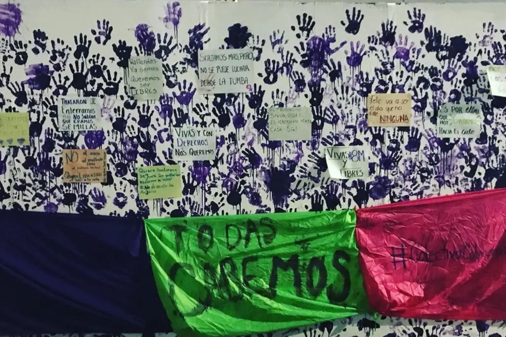 Imagen Colmena Verde marchará el 8M e inaugurará biblioteca feminista en Veracruz 