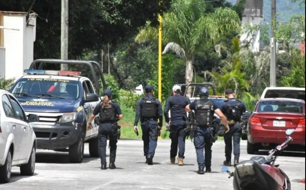 Imagen Reportan varios cateos en colonias de Veracruz este jueves