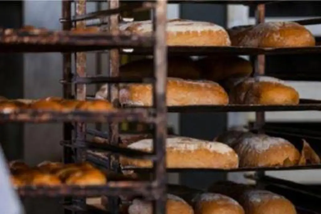 Imagen Pasó horas sin vida dentro del horno de pan. Así lo hallaron