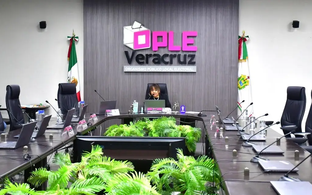 Imagen Habilita OPLE 27 consejos municipales en Veracruz