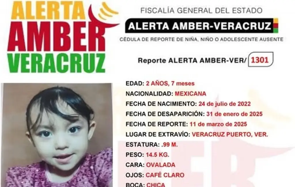 Imagen Emiten Alerta Amber por desaparición de niña de 2 años en Veracruz