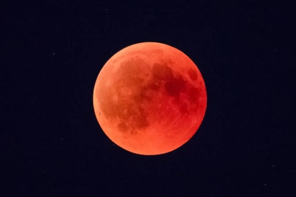 Imagen ¿Donde y a qué hora ver desde Veracruz el eclipse total “Luna de sangre”?