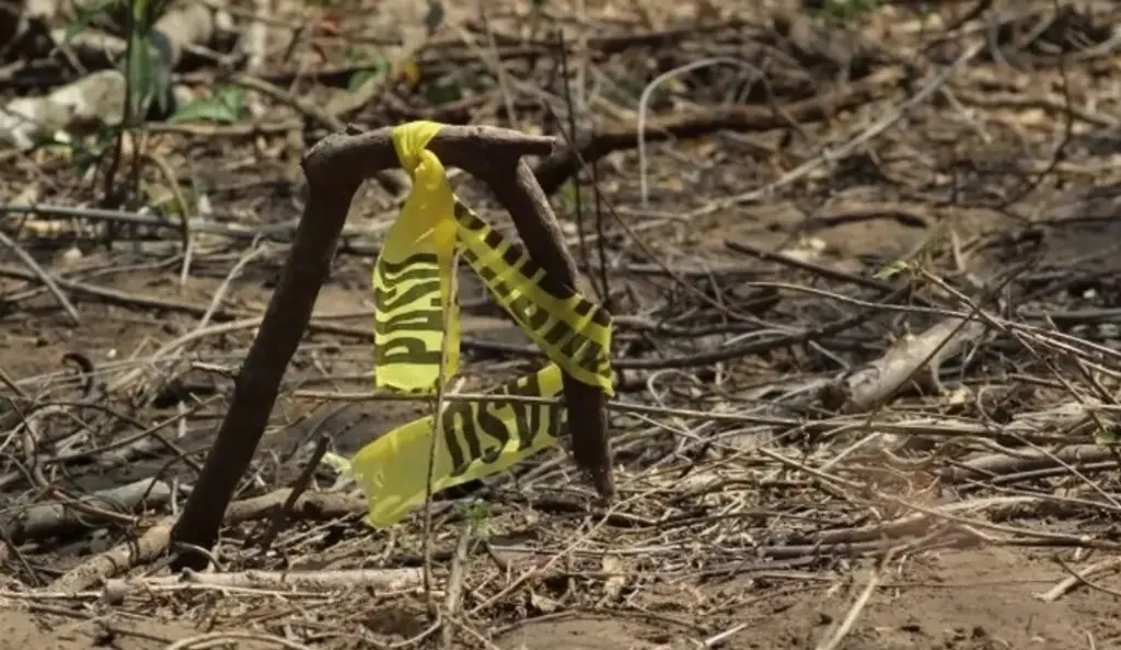 Imagen En Veracruz también se encontraron campos de exterminio: Colectivo Solecito