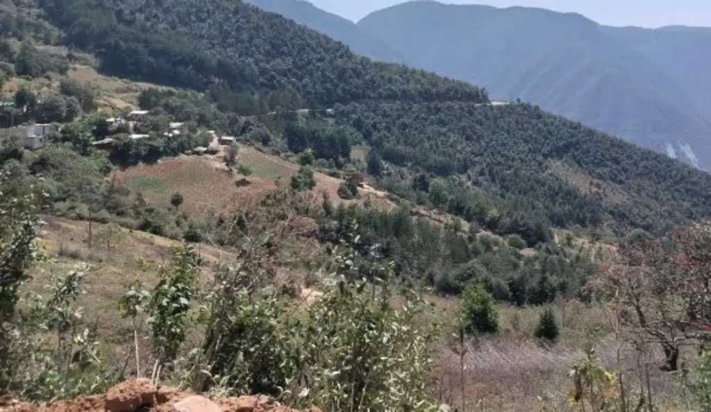 Imagen Concluyen búsqueda de cuerpos en cueva de Acultzingo; lugareños afirman que hay más restos