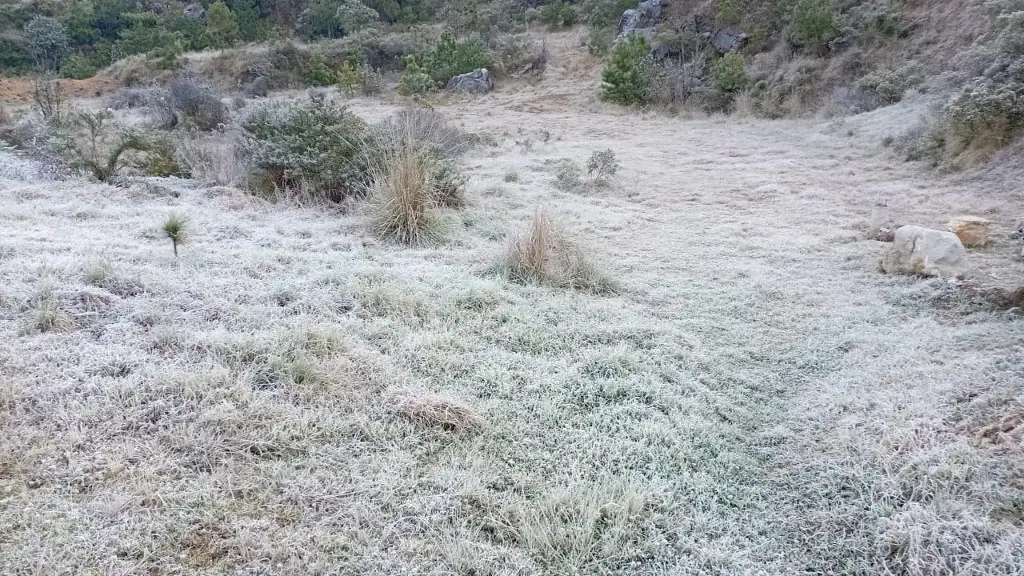 Imagen Reportan heladas en Perote y sierra de Zongolica, con estas temperaturas 