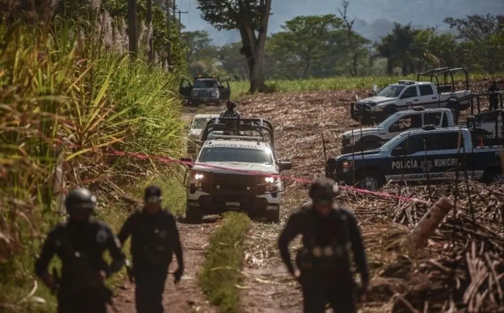 Imagen Hallan sin vida a 2 hombres en cañales de Coatepec, Veracruz; habrían salido a comprar un auto