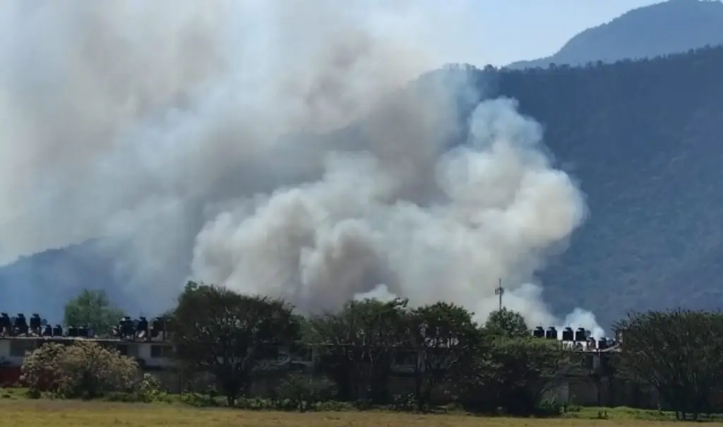 Imagen Incendio de pastizal en Río Blanco, Veracruz provoca evacuaciones 