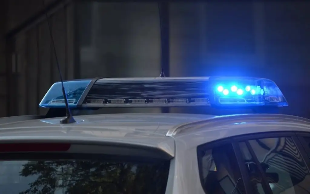Imagen Hombre secuestra y abusa de una menor que conoció a través de Roblox en EU