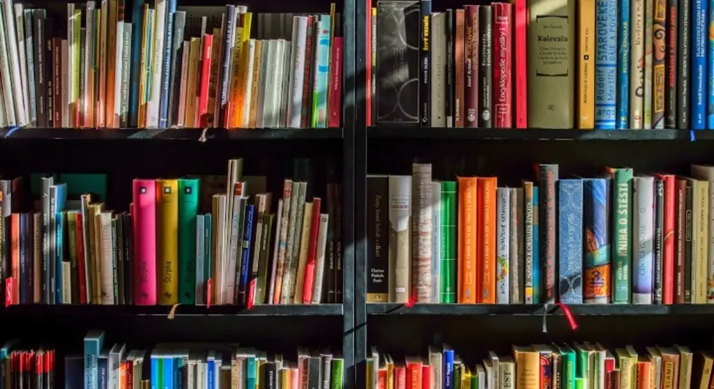 Imagen Checa de qué trata la lectura 'De lector a escritor'