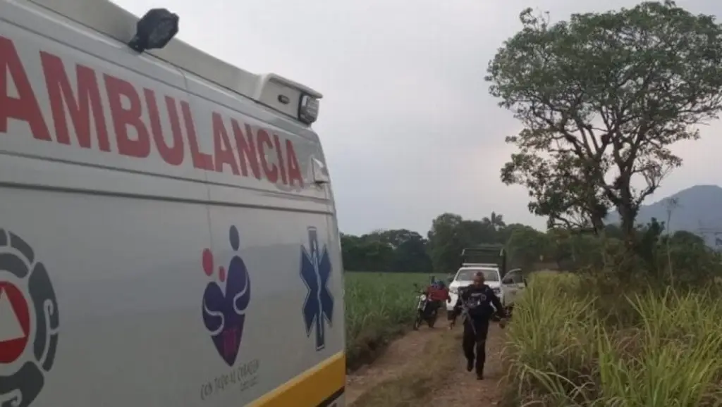 Imagen Hallan sin vida a hombre en medio de cañales en Atzacan, Veracruz 