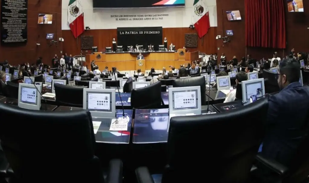 Imagen Senado aprueba reforma que permite a trabajadores de CFE y Pemex portar armas 