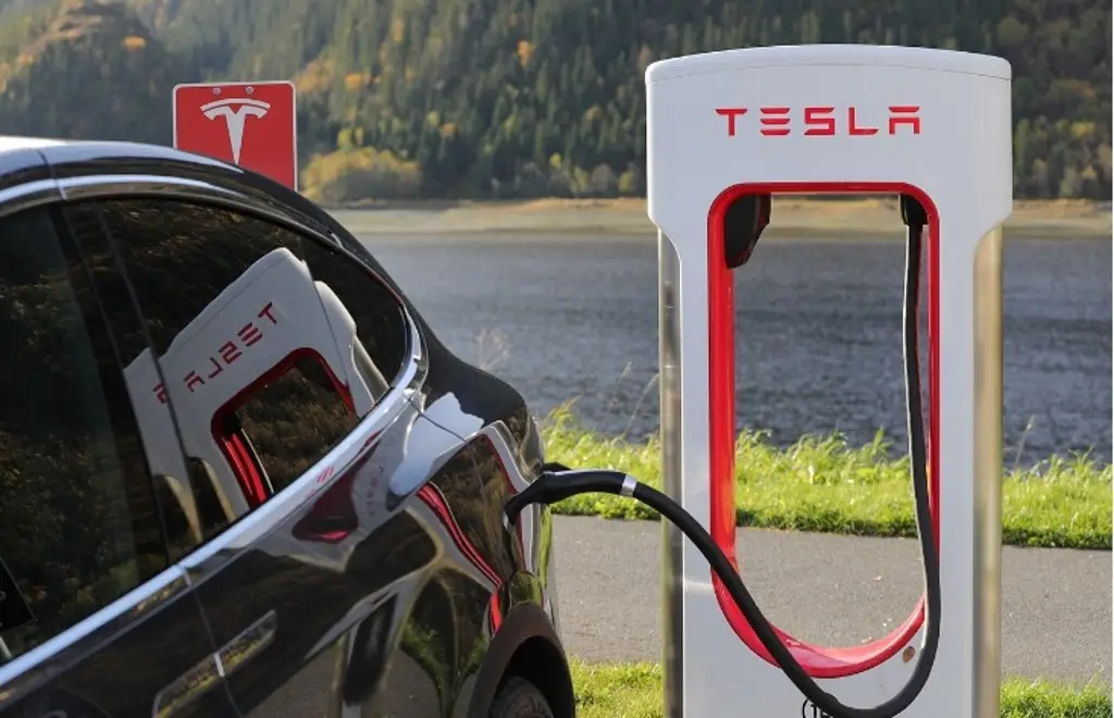 Imagen ¿Adios Elon Musk? Tesla estaría buscando nuevo CEO