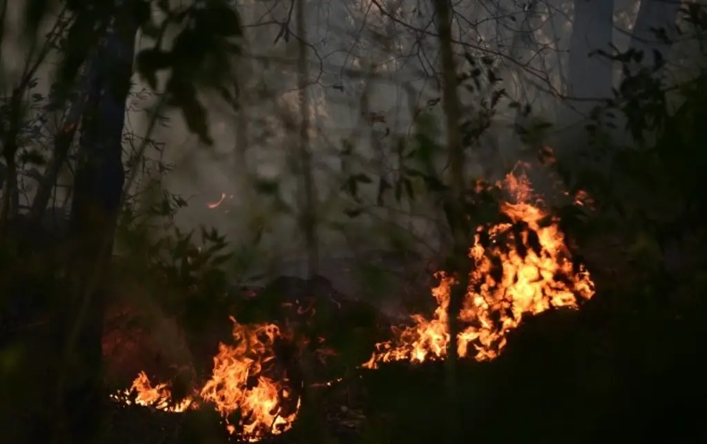 Imagen Reportan incendio de pastizal al poniente de Veracruz