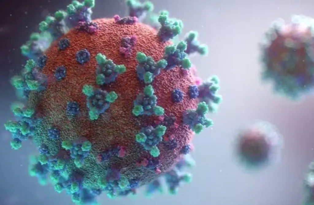 Imagen China sugiere que el virus del COVID-19 pudo surgir antes en EU